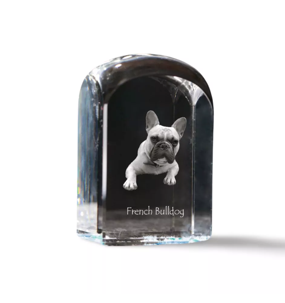 Französische Bulldogge - Kristallwürfel mit Bild, Hundebild im Kristall, sechseckiger Papierclip von Art-Dog.