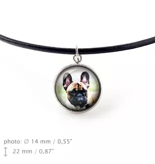 Bouledogue français - ensemble de bijoux avec votre photo, ensemble fait à la main, bracelet et collier de la marque Art.-Dog