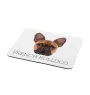 French Bulldog, Frenchie - geometric mouse pad with a picture and text by Art-Dog