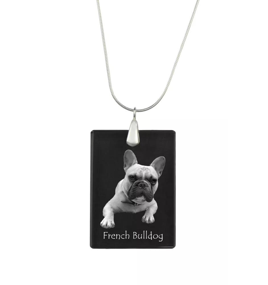 French Bulldog, Frenchie - Crystal pendant with dog, silver necklace with photo, personalised pendant by Art-Dog brand