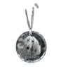 Chart afgański medal kryształowy z psem Art-Dog