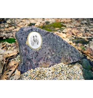 Chart afgański płyta nagrobna ze zdjęciem psa Art-Dog