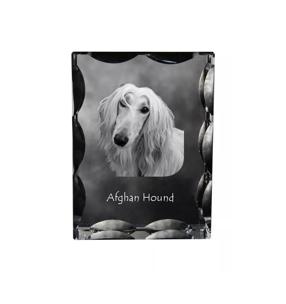 Afghan Hound, Tazi - crystal with a picture of a dog, glass statuette with a picture, unique frame with a picture from Art-Dog brand