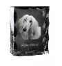 Levrier afghan, Tazi - cristal avec photo de chien, statuette en verre avec photo, cadre exceptionnel avec photo de la marque Art-Dog