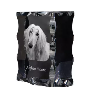 Afghan Hound, Tazi - crystal with a picture of a dog, glass statuette with a picture, unique frame with a picture from Art-Dog brand