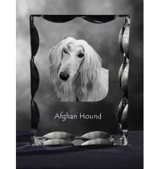 Levrier afghan, Tazi - cristal avec photo de chien, statuette en verre avec photo, cadre exceptionnel avec photo de la marque Art-Dog