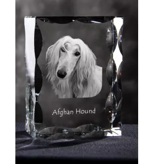 Afghan Hound, Tazi - crystal with a picture of a dog, glass statuette with a picture, unique frame with a picture from Art-Dog brand