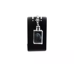 Levrier afghan, Tazi - Porte-clés en cristal avec photo de chien, porte-clés lumineux, cadeau unique de la marque Art-Dog