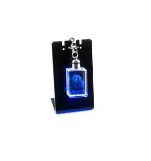 Afghan Hound, Tazi - Crystal key ring with dog photo, illuminated key ring, unique gift by Art-Dog brand