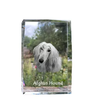 Afghanischer Windhund, Afghane - Kristall mit einem Hundebild, Bild im Glas, moderne Ausstellung des Art-Dog-Bildes.
