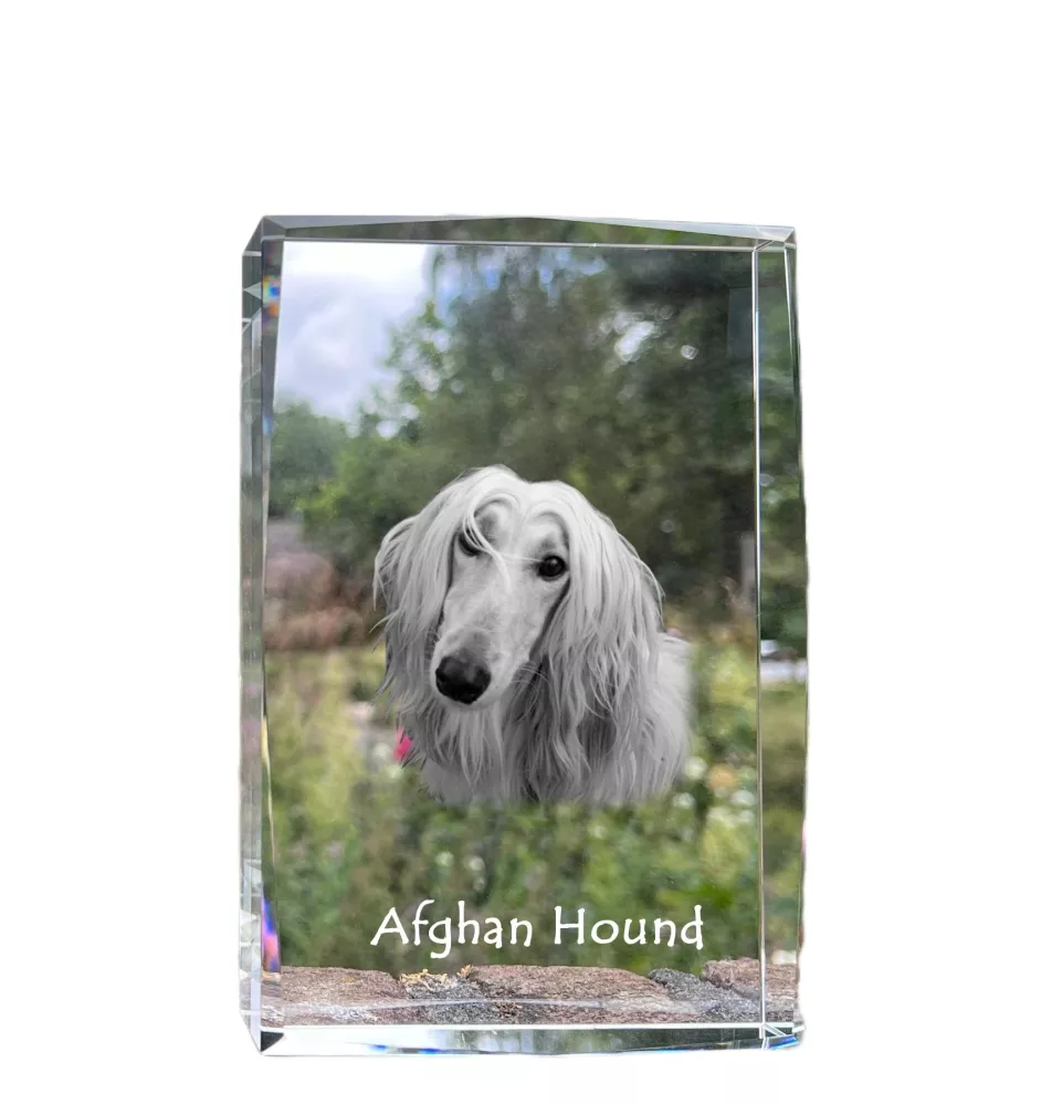 Afghanischer Windhund, Afghane - Kristall mit einem Hundebild, Bild im Glas, moderne Ausstellung des Art-Dog-Bildes.