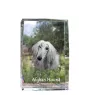 Afghan Hound, Tazi - crystal with a picture of a dog, photo in glass, modern exhibition of Art-Dog brand photo
