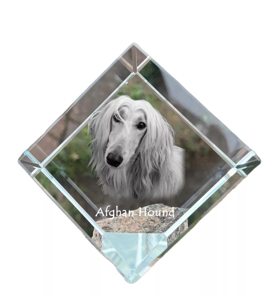 Levrier afghan, Tazi - un cube de cristal avec une photo, une photo de cheval dans le cristal, un presse-papiers cubique de la marque Art-Dog