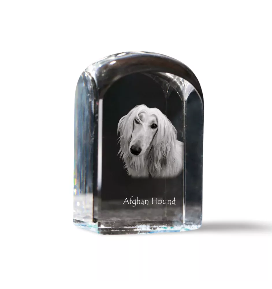 Afghan Hound, Tazi - crystal cube with a photo, photo of a dog in crystal, cubic paperweight from Art-Dog brand