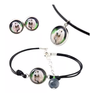 Chart afgański komplet w pudełku ze zdjęciem Art-Dog