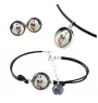 Levrier afghan, Tazi - ensemble de bijoux dans une boîte, collier, boucles d'oreilles, bracelet, produits de la marque Art-Dog