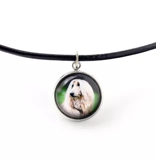 Levrier afghan, Tazi - ensemble de bijoux dans une boîte, collier, boucles d'oreilles, bracelet, produits de la marque Art-Dog