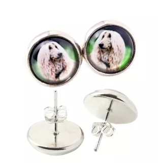 Afghanischer Windhund, Afghane - Ohrringe in einer Schachtel, Ihr Foto, handgefertigter Schmuck, Eigenmarke von Art-Dog.