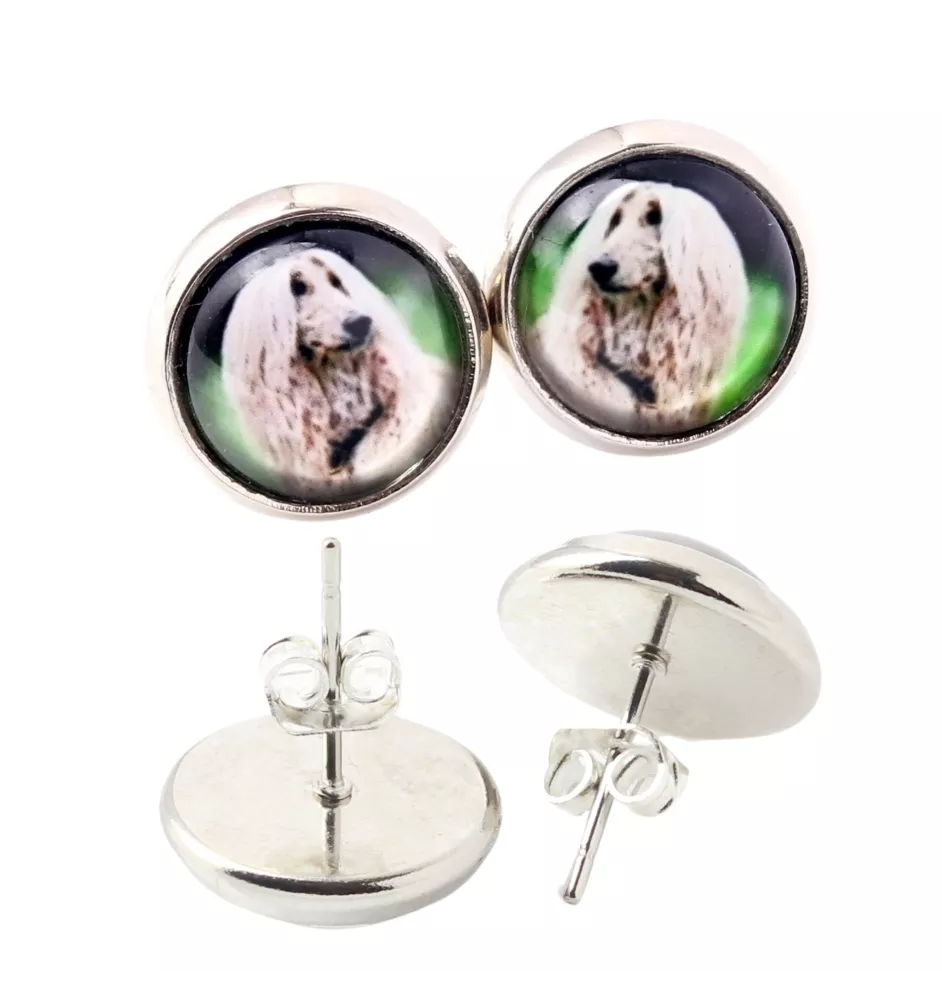 Afghan Hound, Tazi - earrings in a box, your photo, handmade jewelry, a product of the Art-Dog brand