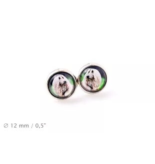 Levrier afghan, Tazi - boucles d'oreilles dans une boîte, votre photo, bijoux faits à la main, produit de la marque Art-Dog.