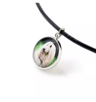 Levrier afghan, Tazi - collier dans une boîte, élégant bijou, pendentif de la marque Art-Dog