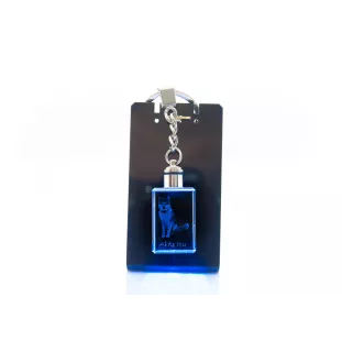 Akita, Akita Inu - Schlüsselanhänger aus Kristall mit Hundefoto, beleuchteter Schlüsselanhänger, einzigartiges Geschenk der Marke Art-Dog