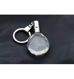Akita, Akita Inu - pendant with a photo of a dog, crystal key ring in a gift box, a unique gift by Art-Dog