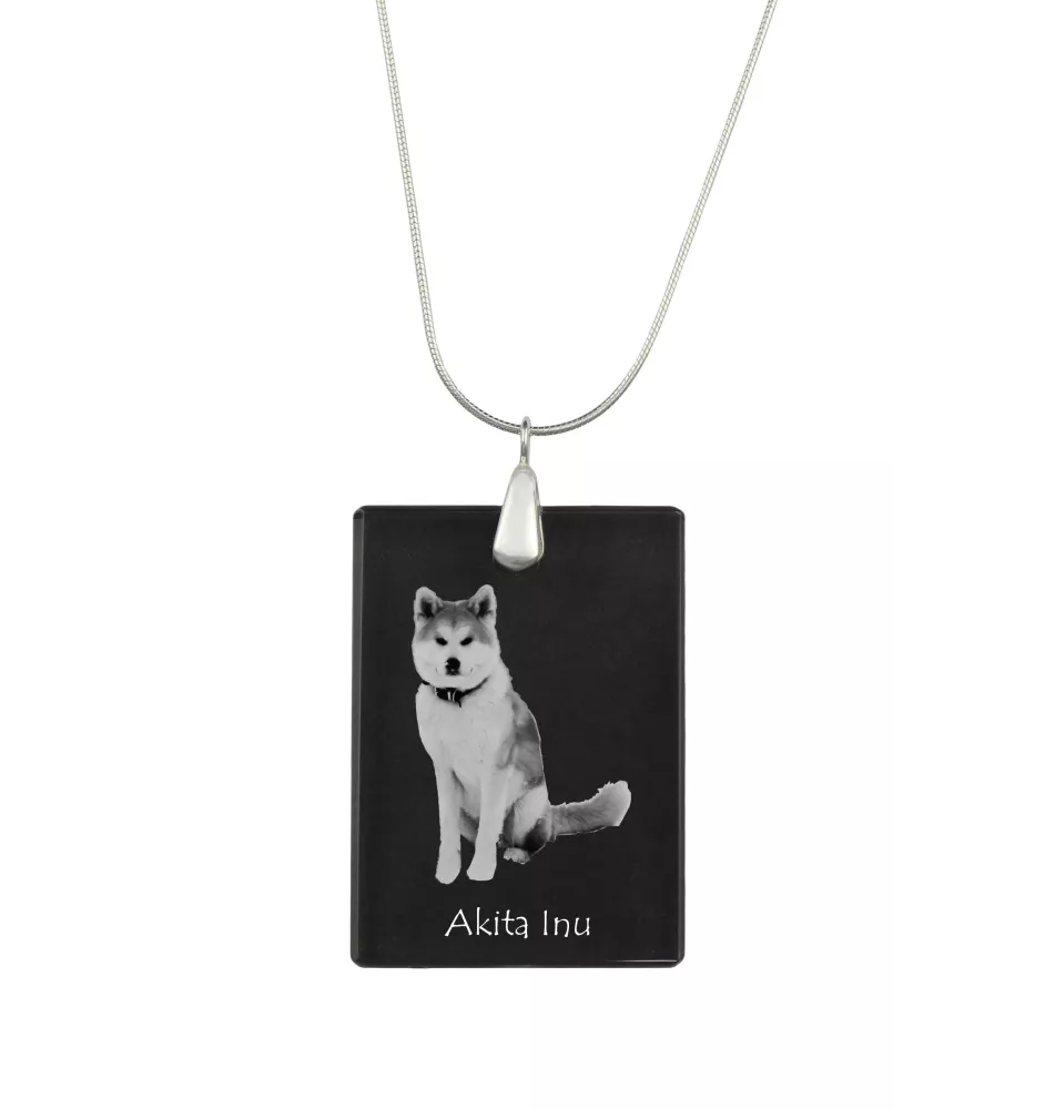 Akita, Akita Inu - Crystal pendant with dog, silver necklace with photo, personalised pendant by Art-Dog brand