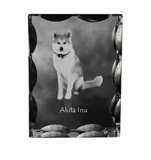Akita, Akita Inu - crystal with a picture of a dog, glass statuette with a picture, unique frame with a picture from Art-Dog brand
