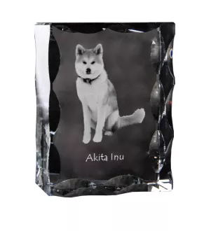 Akita, Akita Inu - crystal with a picture of a dog, glass statuette with a picture, unique frame with a picture from Art-Dog brand