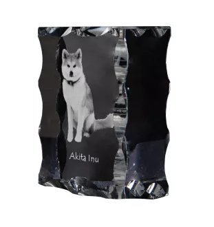 Akita, Akita Inu - crystal with a picture of a dog, glass statuette with a picture, unique frame with a picture from Art-Dog brand