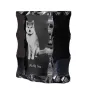 Akita, Akita Inu - crystal with a picture of a dog, glass statuette with a picture, unique frame with a picture from Art-Dog brand
