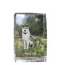 Akita, Akita Inu - Kristall mit einem Hundebild, Bild im Glas, moderne Ausstellung des Art-Dog-Bildes.
