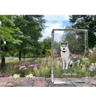 Akita, Akita Inu - Kristall mit einem Hundebild, Bild im Glas, moderne Ausstellung des Art-Dog-Bildes.