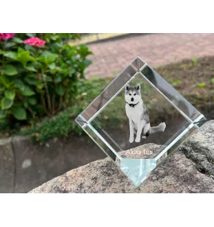 Akita, Akita Inu - crystal cube with a photo, photo of a horse in crystal, cubic paperweight from Art-Dog brand