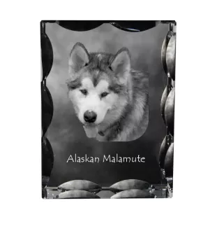 Alaskan Malamute - crystal with a picture of a dog, glass statuette with a picture, unique frame with a picture from Art-Dog brand