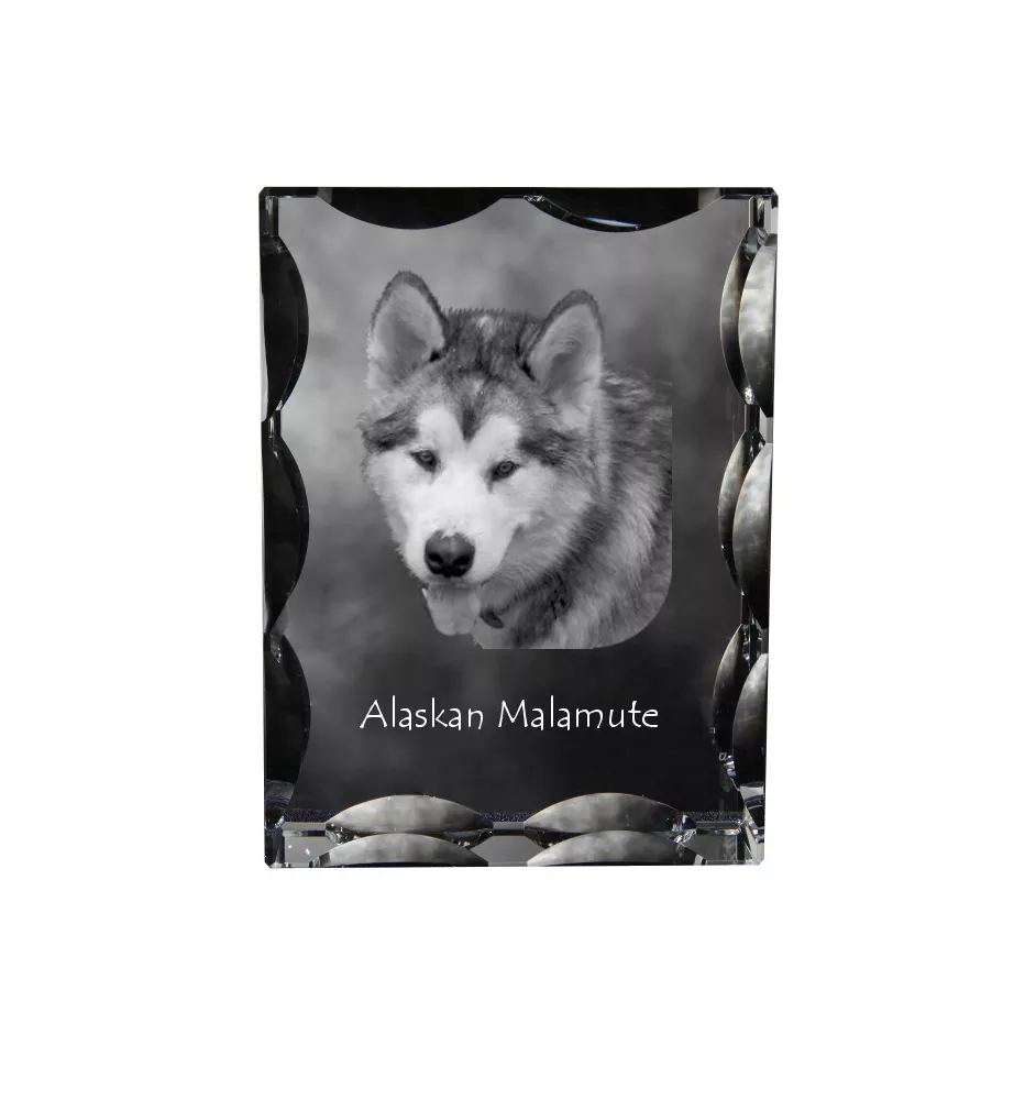 Alaskan Malamute - crystal with a picture of a dog, glass statuette with a picture, unique frame with a picture from Art-Dog brand