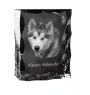 Alaskan Malamute - crystal with a picture of a dog, glass statuette with a picture, unique frame with a picture from Art-Dog brand