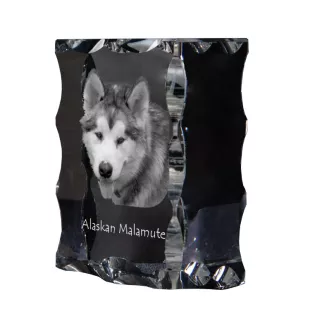Alaskan Malamute - crystal with a picture of a dog, glass statuette with a picture, unique frame with a picture from Art-Dog brand
