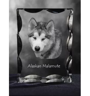 Alaskan Malamute - crystal with a picture of a dog, glass statuette with a picture, unique frame with a picture from Art-Dog brand