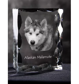 Alaskan Malamute, Alaskischer Malamute - Kristall mit einem Hundebild, Glasstatuette mit einem Bild, einzigartiger Bilderrahmen der Marke Art-Dog