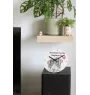 Malamute de l'Alaska - horloge murale avec chien, horloge de table avec impression, décoration personnalisée de la maison de la marque Art-Dog