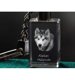 Malamute de l'Alaska - Porte-clés en cristal avec photo de chien, porte-clés lumineux, cadeau unique de la marque Art-Dog