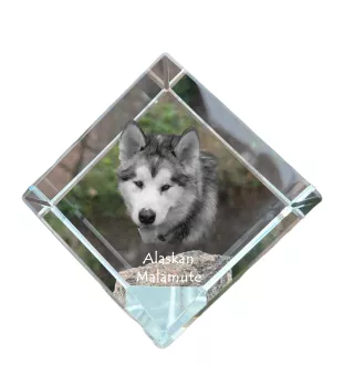 Malamute de l'Alaska - un cube de cristal avec une photo, une photo de cheval dans le cristal, un presse-papiers cubique de la marque Art-Dog