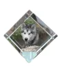 Malamute de l'Alaska - un cube de cristal avec une photo, une photo de cheval dans le cristal, un presse-papiers cubique de la marque Art-Dog