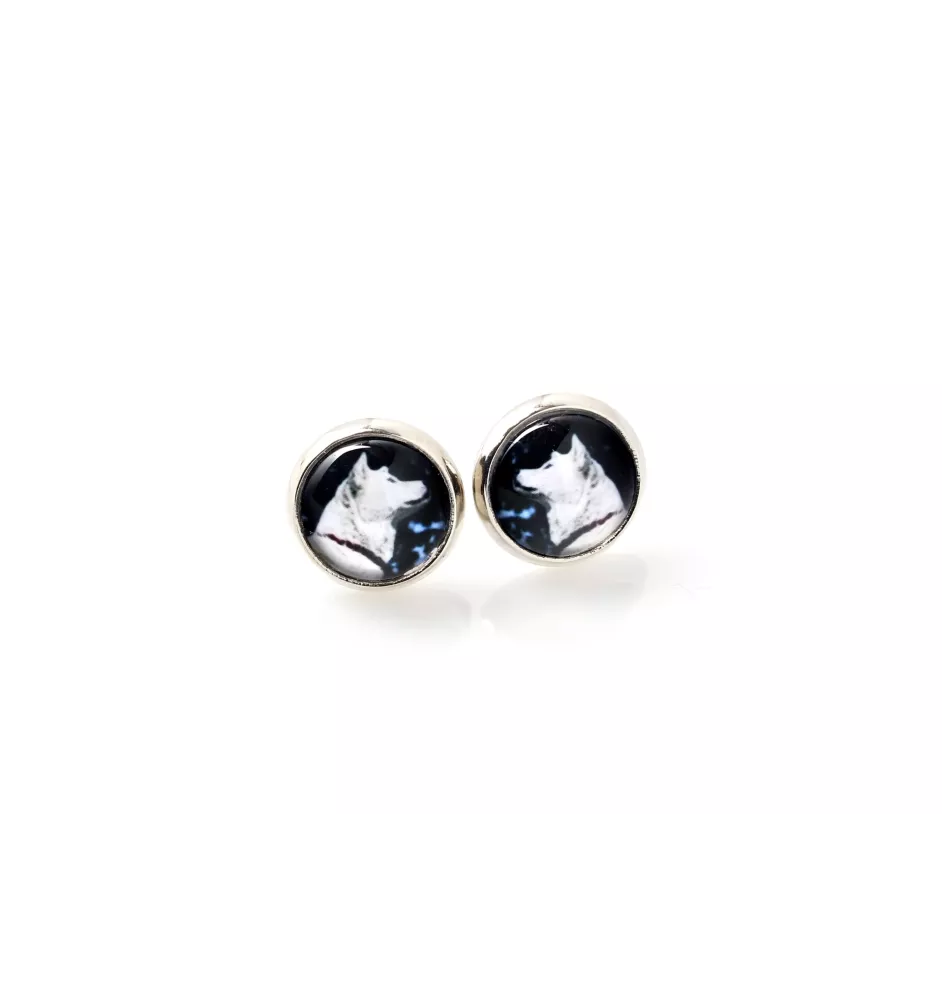 Akita, Akita Inu - earrings your photo handmade, own photo, jewelry from the Art.-Dog brand