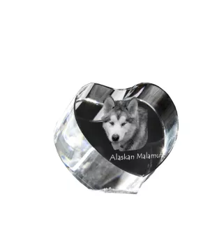 Alaskan Malamute - a photo of a dog in crystal, crystal heart, unique photo frame from the Art-Dog brand