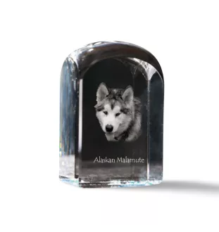 Alaskan Malamute, Alaskischer Malamute - Kristallwürfel mit Bild, Hundebild im Kristall, sechseckiger Papierclip von Art-Dog.