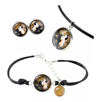 Alaskan Malamute - a set of jewelry in a box, necklace, earrings, bracelet, products from the Art-Dog brand