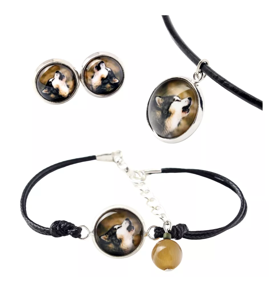Alaskan Malamute - a set of jewelry in a box, necklace, earrings, bracelet, products from the Art-Dog brand